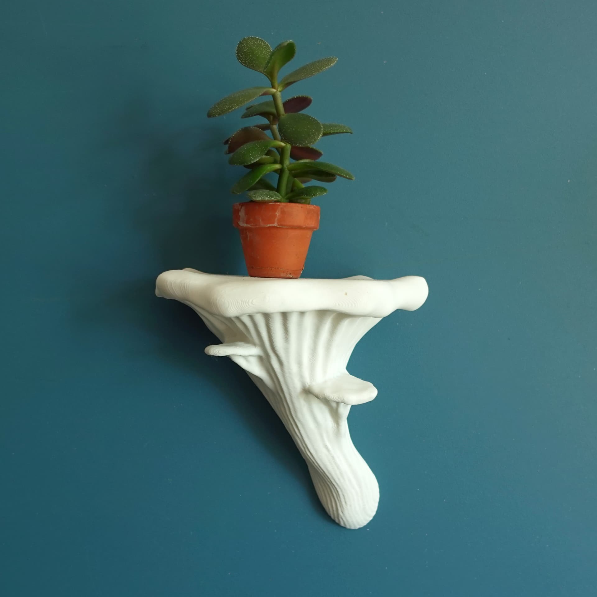 Mushroom shelf “Oyster” 3d model