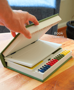 PlayBook'd LUDO 3d model