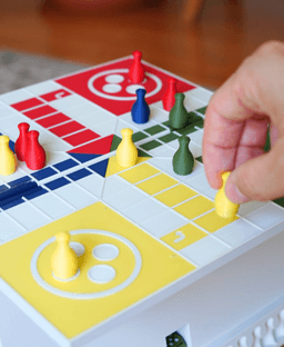 PlayBook'd LUDO 3d model