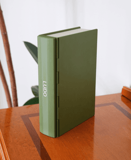 PlayBook'd LUDO 3d model