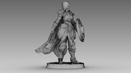 Crimson Shieldmaiden 3d model