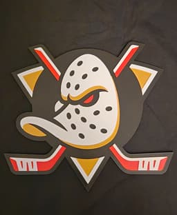 Anaheim Ducks 3d model