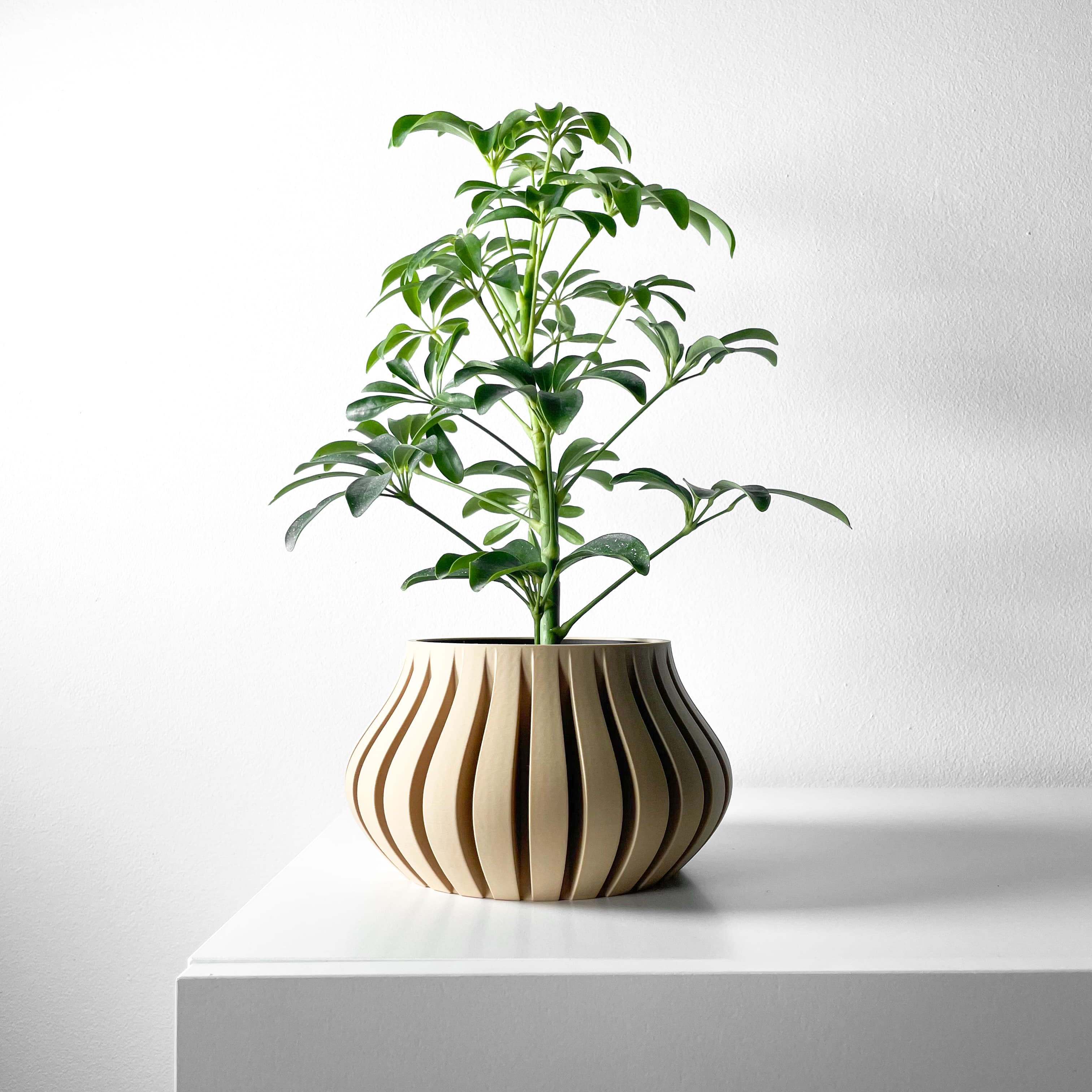 The Toril Planter Pot with Drainage Tray & Stand Included | Modern and Unique Home Decor 3d model