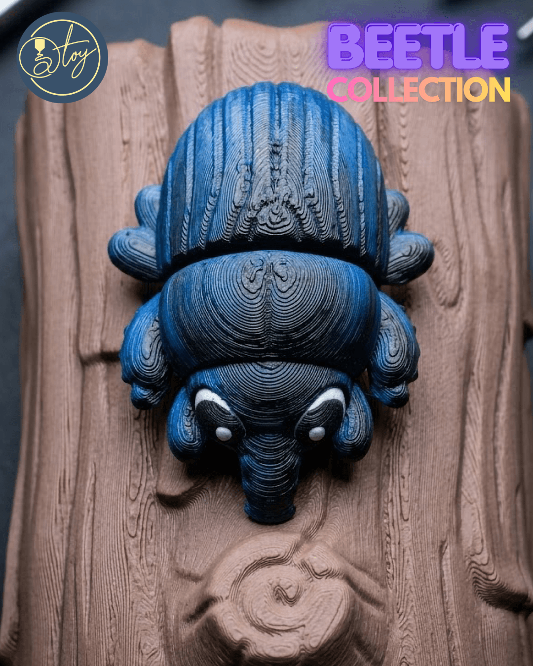 BEETLE COLLECTION 3d model