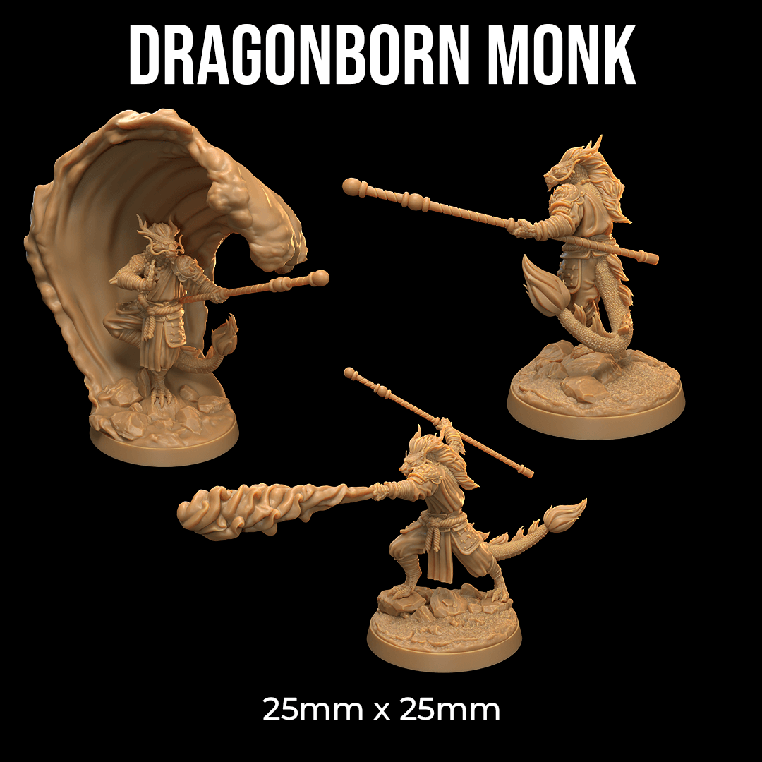 Dragonborn Monk 3d model