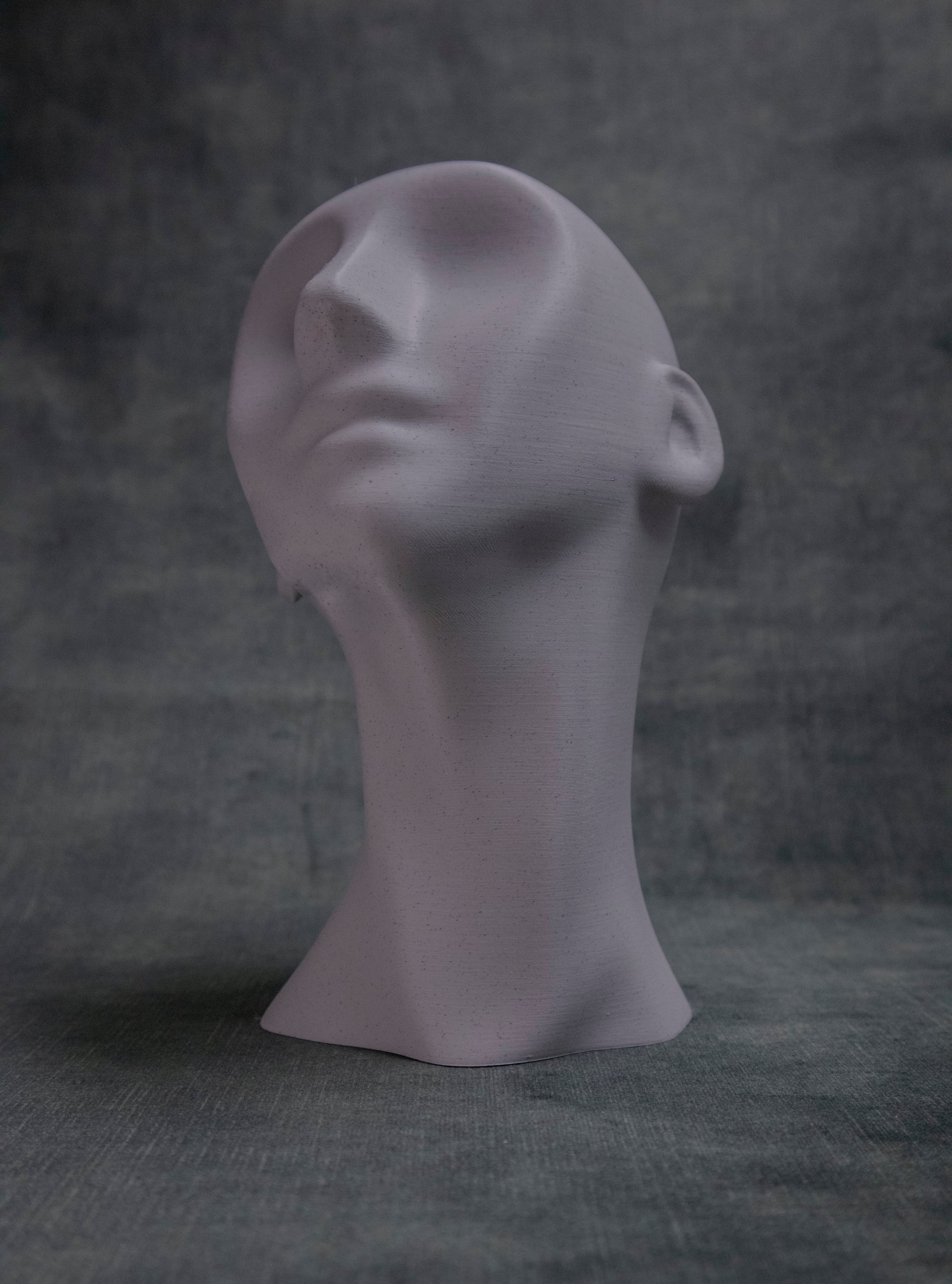 Eyeless (Pre Supported) 3d model
