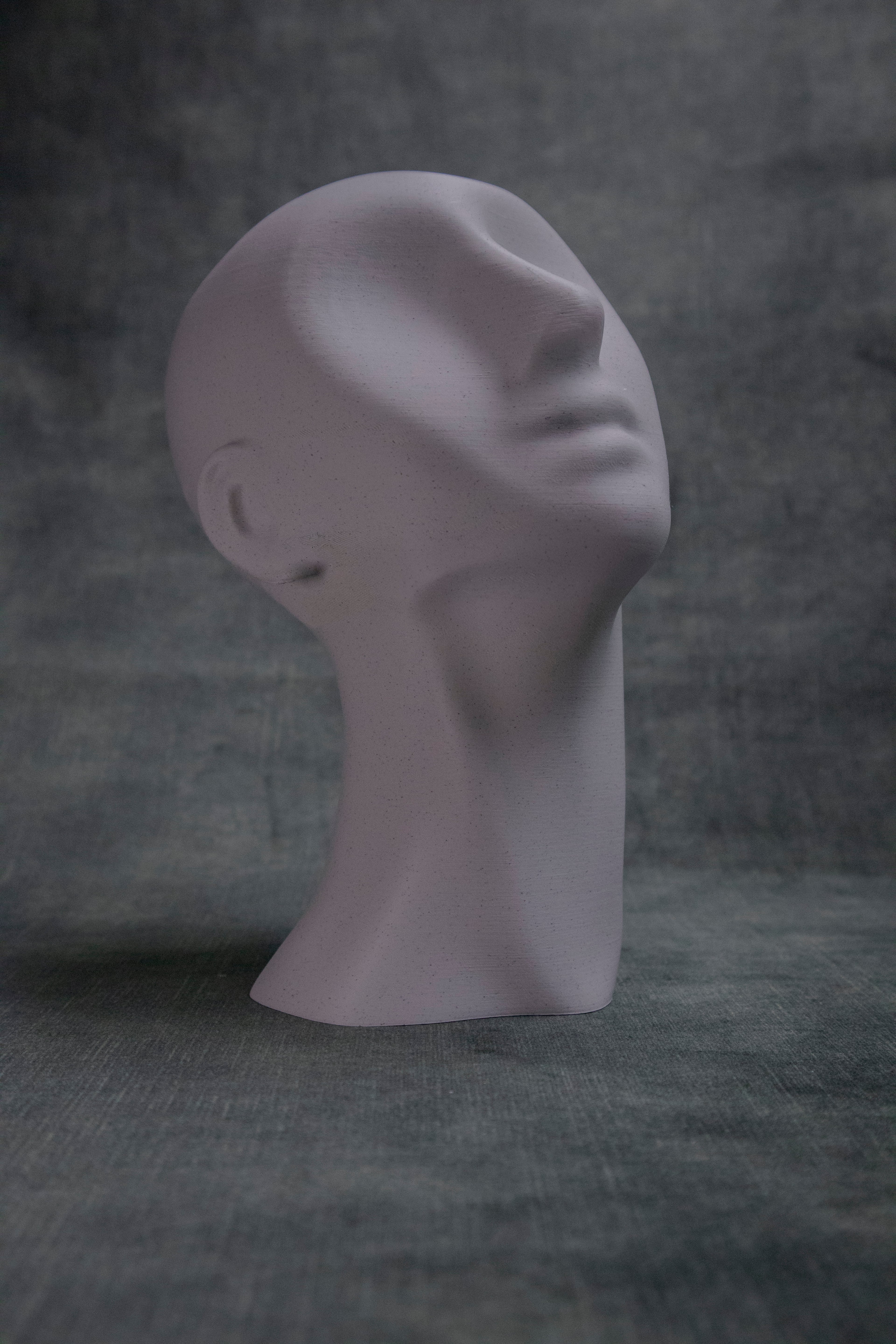 Eyeless (Pre Supported) 3d model
