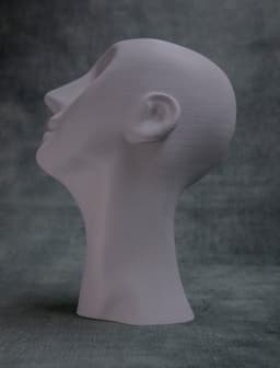 Eyeless (Pre Supported) 3d model