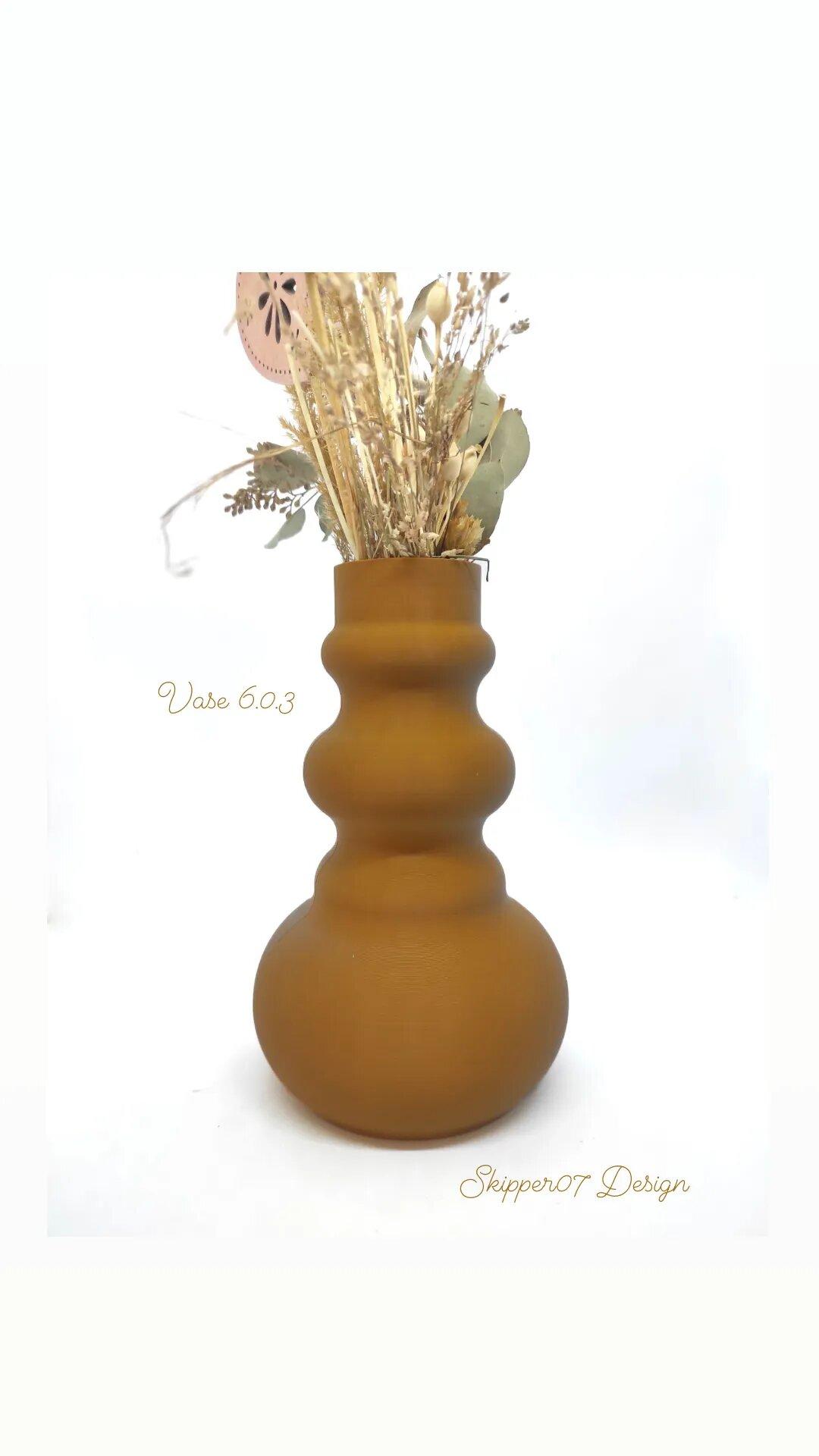 Vase 6.0.3.stl 3d model