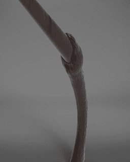 Bellatrix Lestrange’s Wand - Harry Potter 3d model