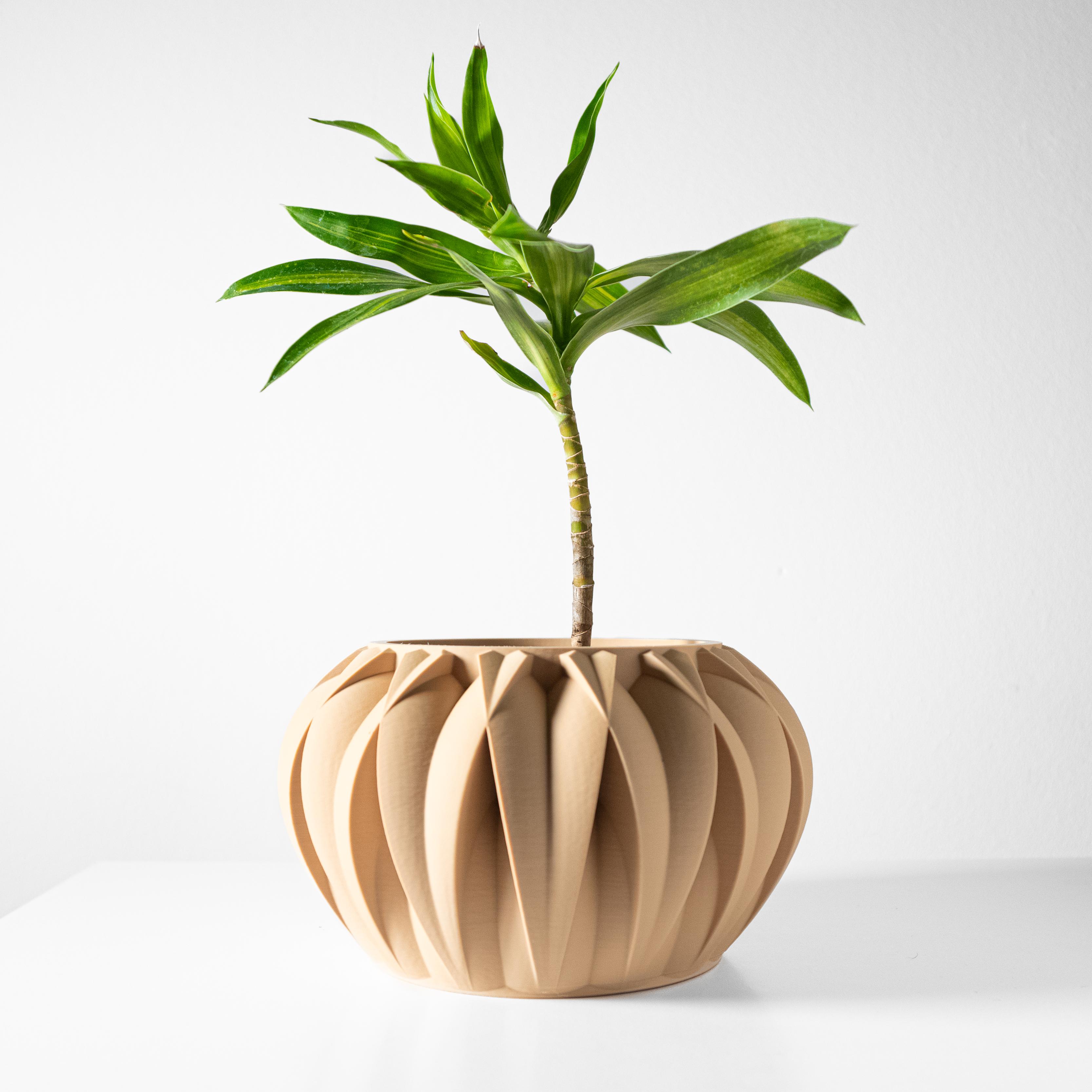 The Halden Planter Pot with Drainage Tray & Stand Included: Modern and Unique Home Decor for Plants 3d model