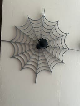 spider 3d model