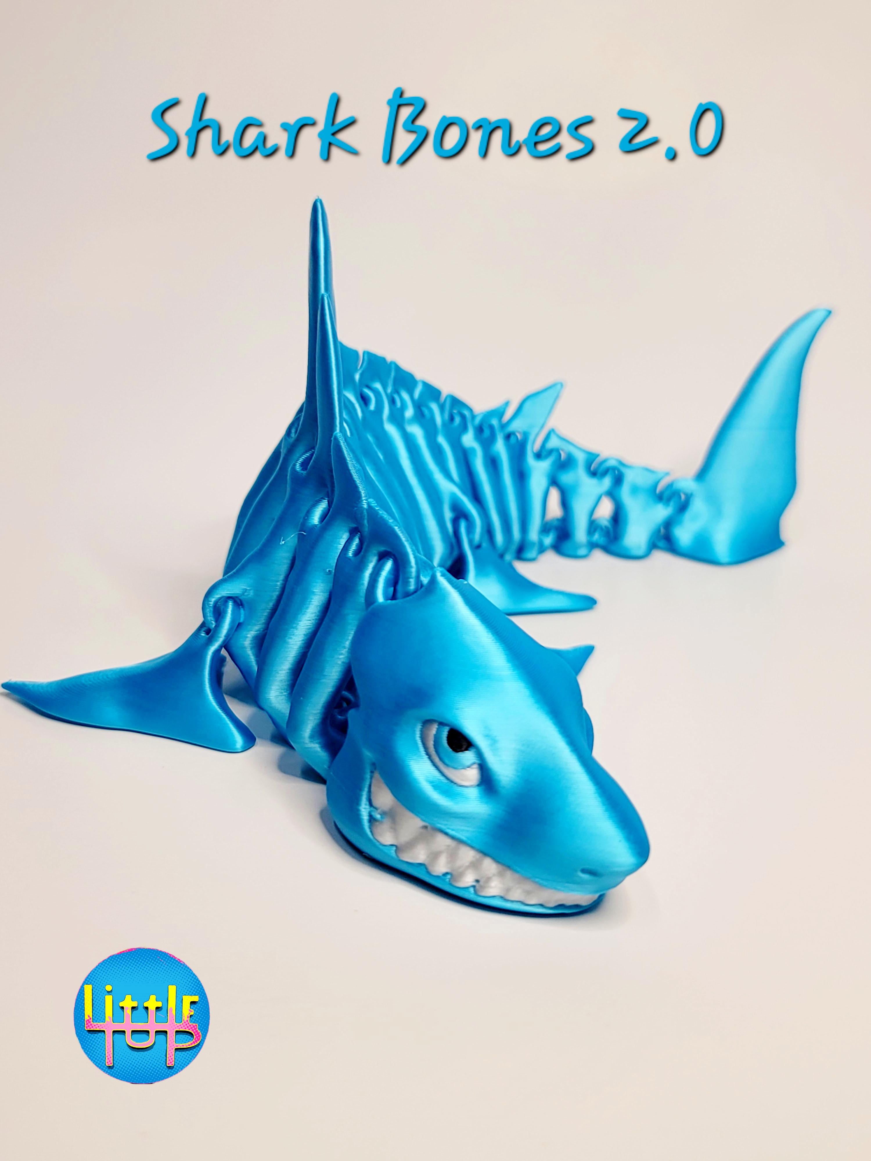 Shark Bones Full 2.0  3d model