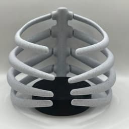 ARTICULATED RIBS COASTER 3d model