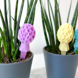 Mushroom garden decoration “Morchella Esculenta” 3d model