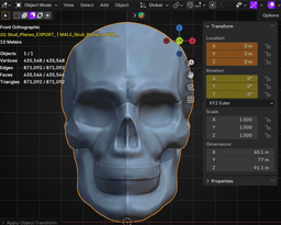 FREE Male Skull Planes 3d model