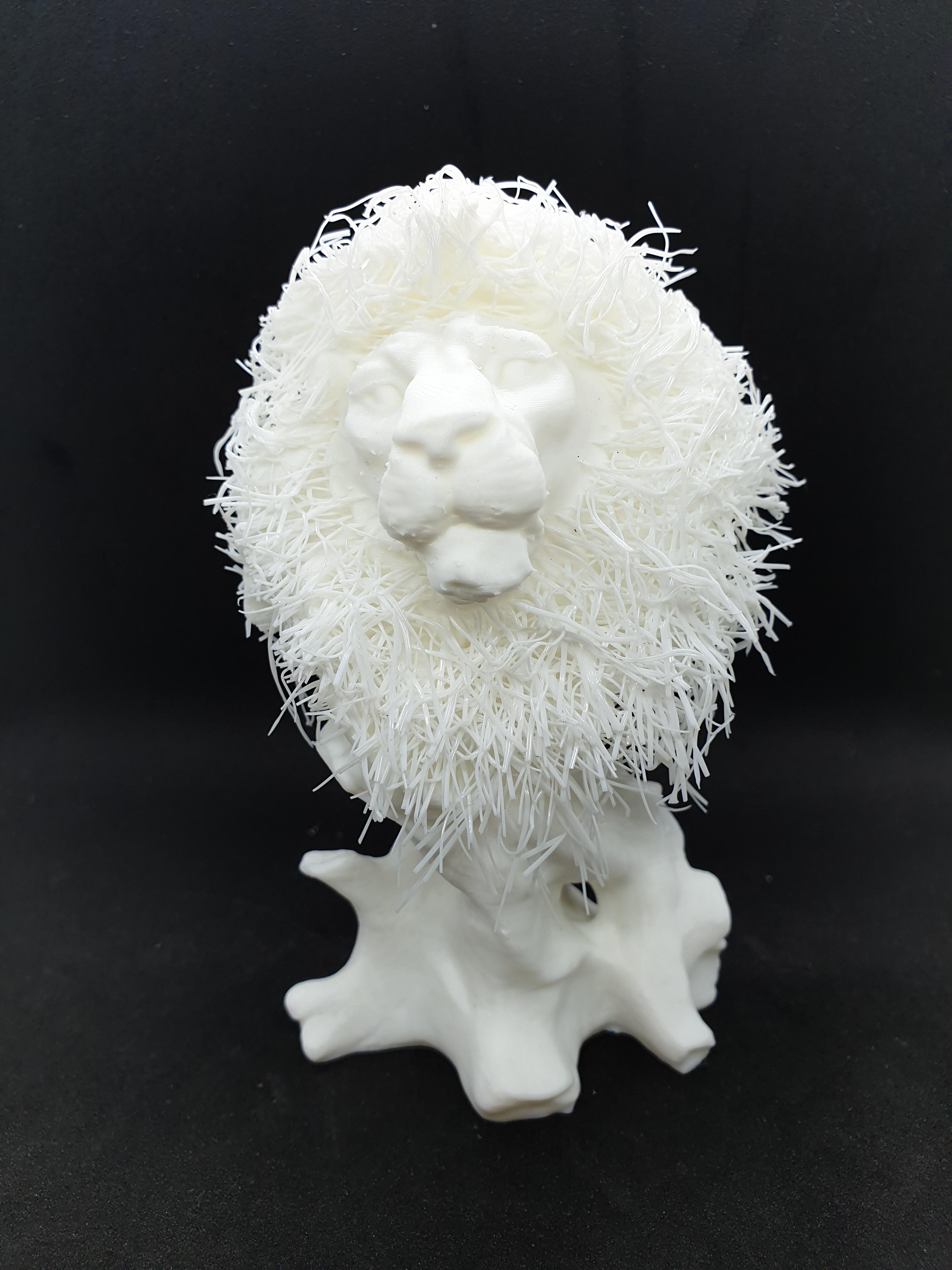 Lion Hairify 3d model