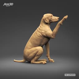 Dalmatian 3D Print Model Pose 05 3d model