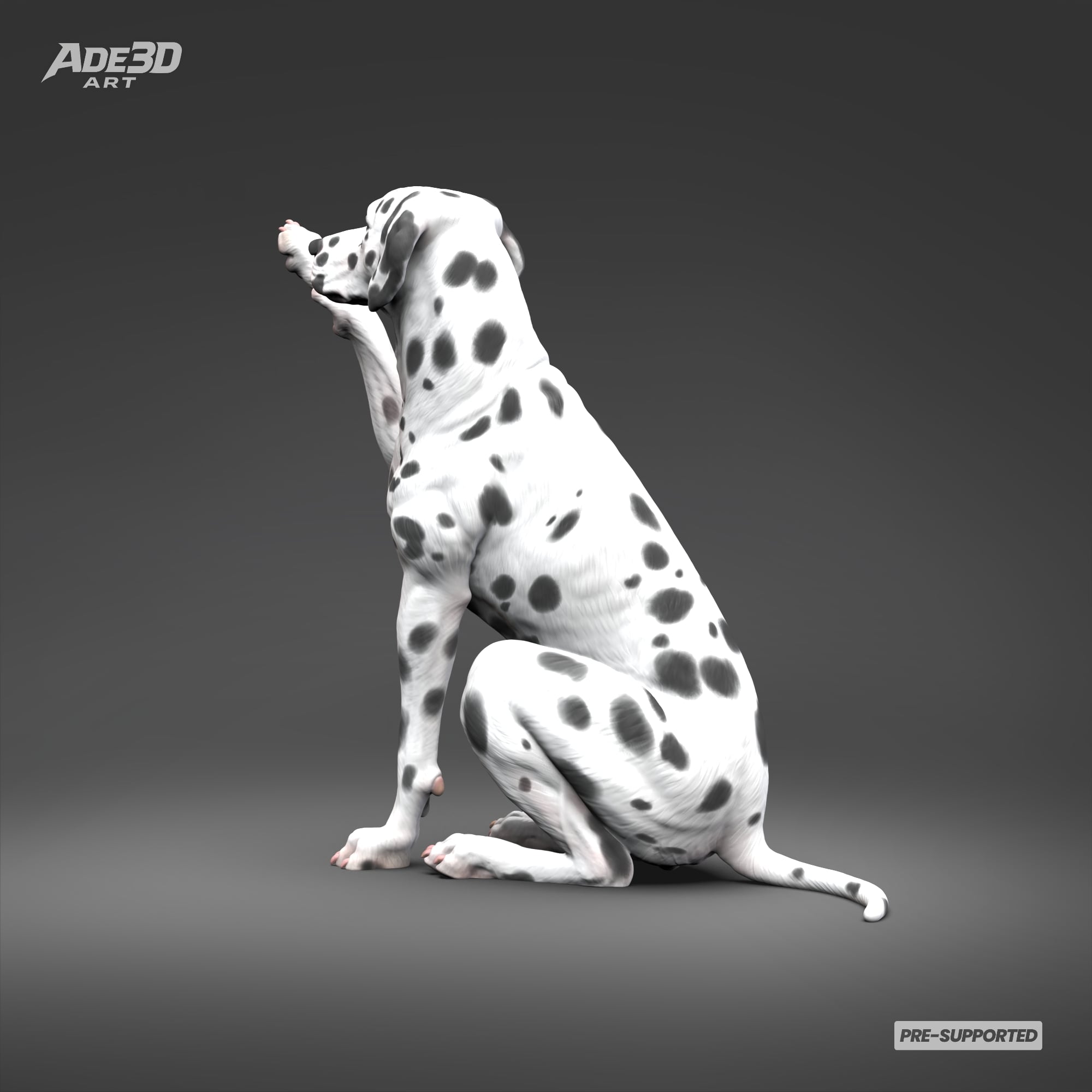 Dalmatian 3D Print Model Pose 05 3d model