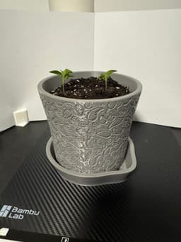 Plant Pot 3d model
