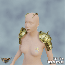 Fantasy Blaze Elin Armor Bladurs Gate 3 3d model