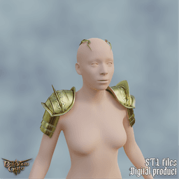 Fantasy Blaze Elin Armor Bladurs Gate 3 3d model