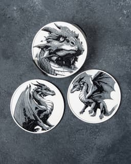 Dragon Coasters 3d model