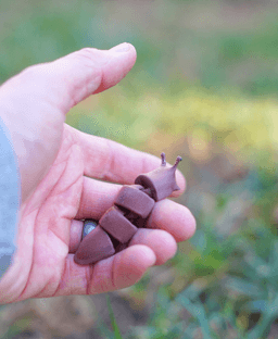 Slimy Slug - Fidget Articulated Slug - Ludo 3D Printed Animal - a 3D Printed Animal Fidget Toy 3d model