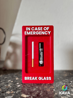 In Case of Emergency: Cigarette & Lighter Edition 3d model