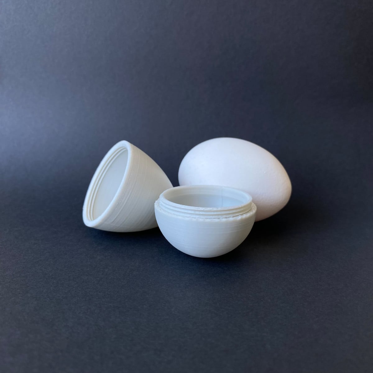 Yet Another Eggtainer 3d model