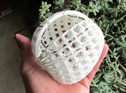 Colloidal Vessel (101010 Pod) 3d model