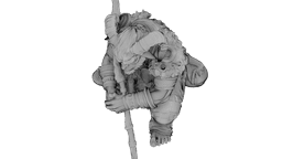 Azure Horned Guardian 3d model