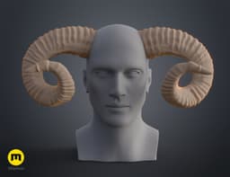 Mountain sheep Horns 3d model