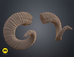 Mountain sheep Horns 3d model