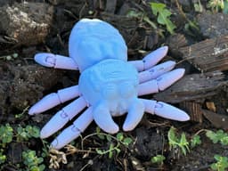 Teal Cat Creative Skeletorus Spider.stl 3d model