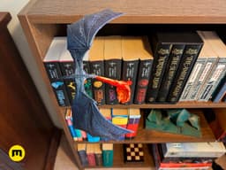 Flying Dragon Book Nook 3d model