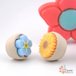 Flower Power Multi-Pack 3d model
