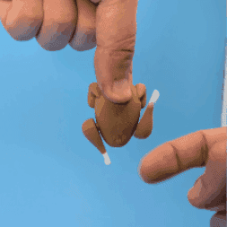 Thanksgiving Turkey Fidget Toy 3d model