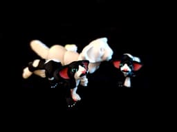 Mini Oriental Shorthair Cat *Commercial Version* 3d model