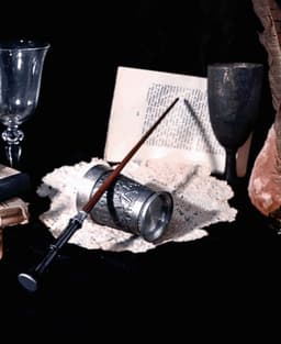 Yusuf Kama's Wand - Harry Potter 3d model