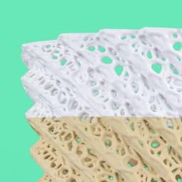 Voronoi Stepped Bin 3d model