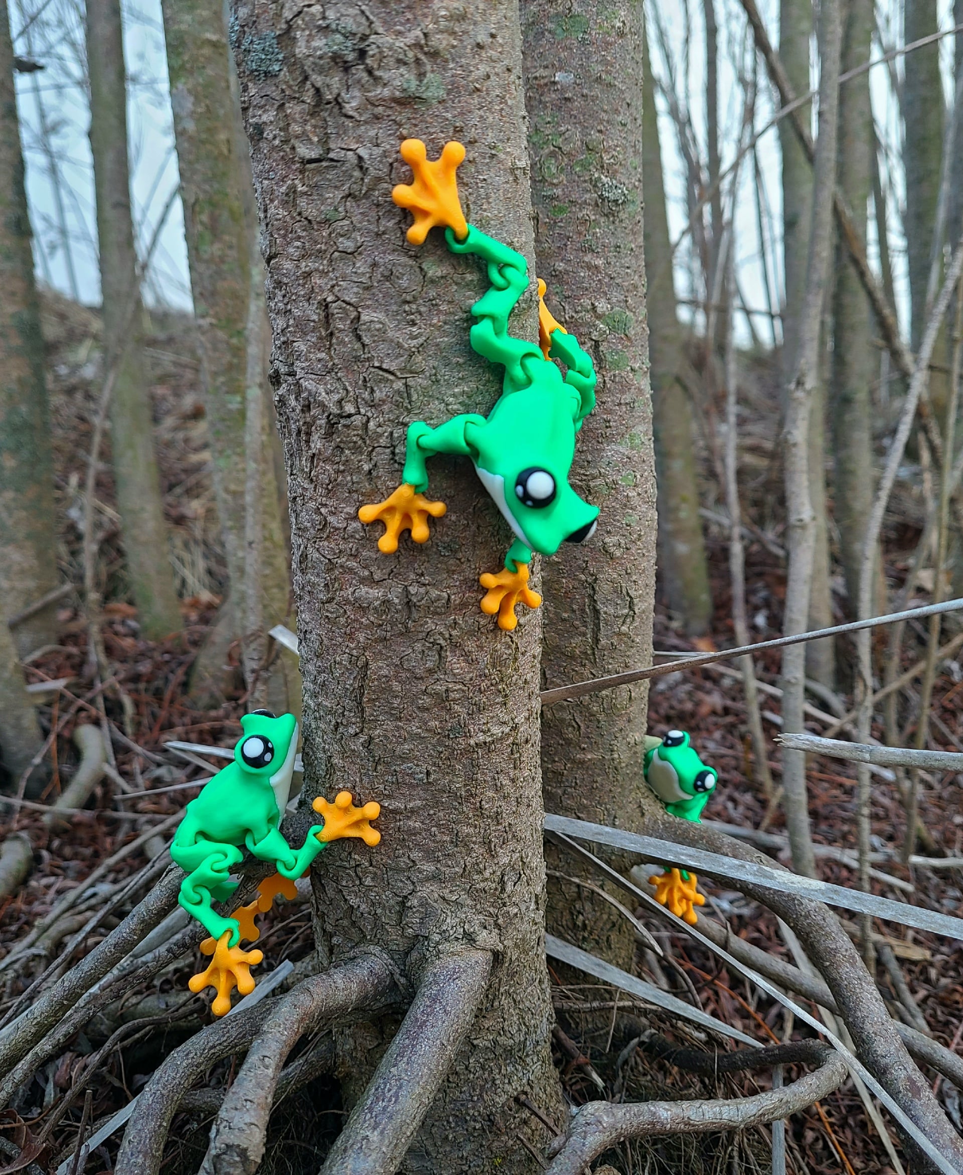 You're frog-tastic! 🐸
