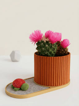 Key Storage with Pot 3d model