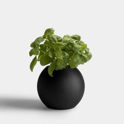 Planter | Boem x Minimalissimo 3d model