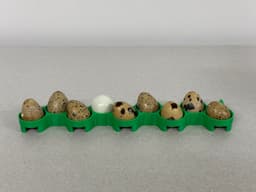 Jumbo Quail Egg Tray for Hatching Time Cimuka Incubators 3d model