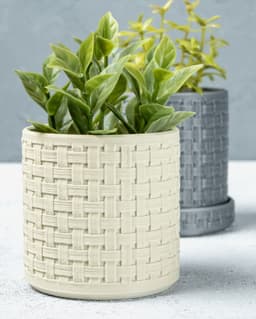 Woven Planter 3d model
