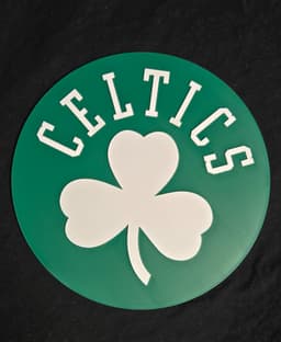 Boston Celtics 3d model