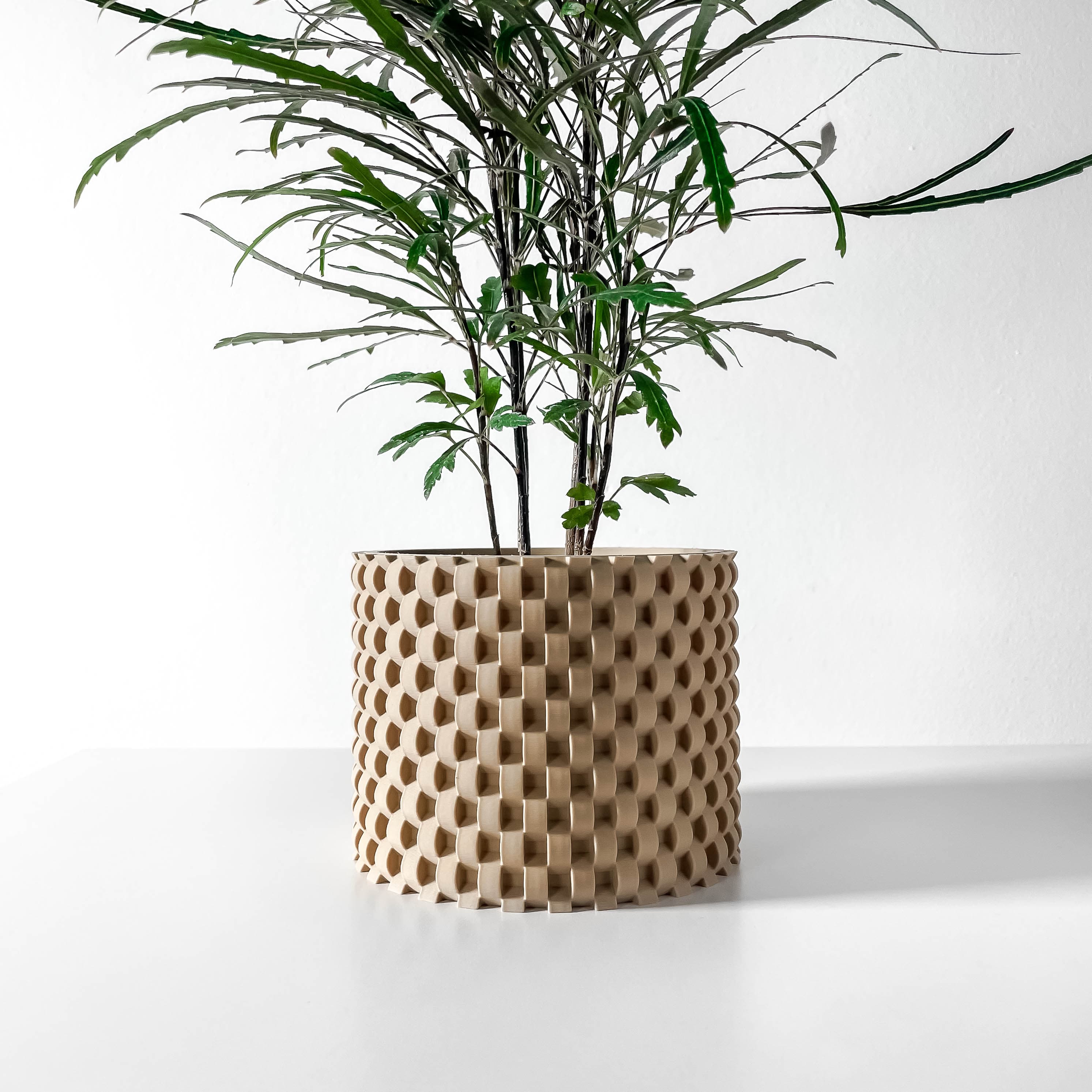 The Cheo Planter Pot with Drainage Tray & Stand: Modern and Unique Home Decor for Plants and Succule 3d model