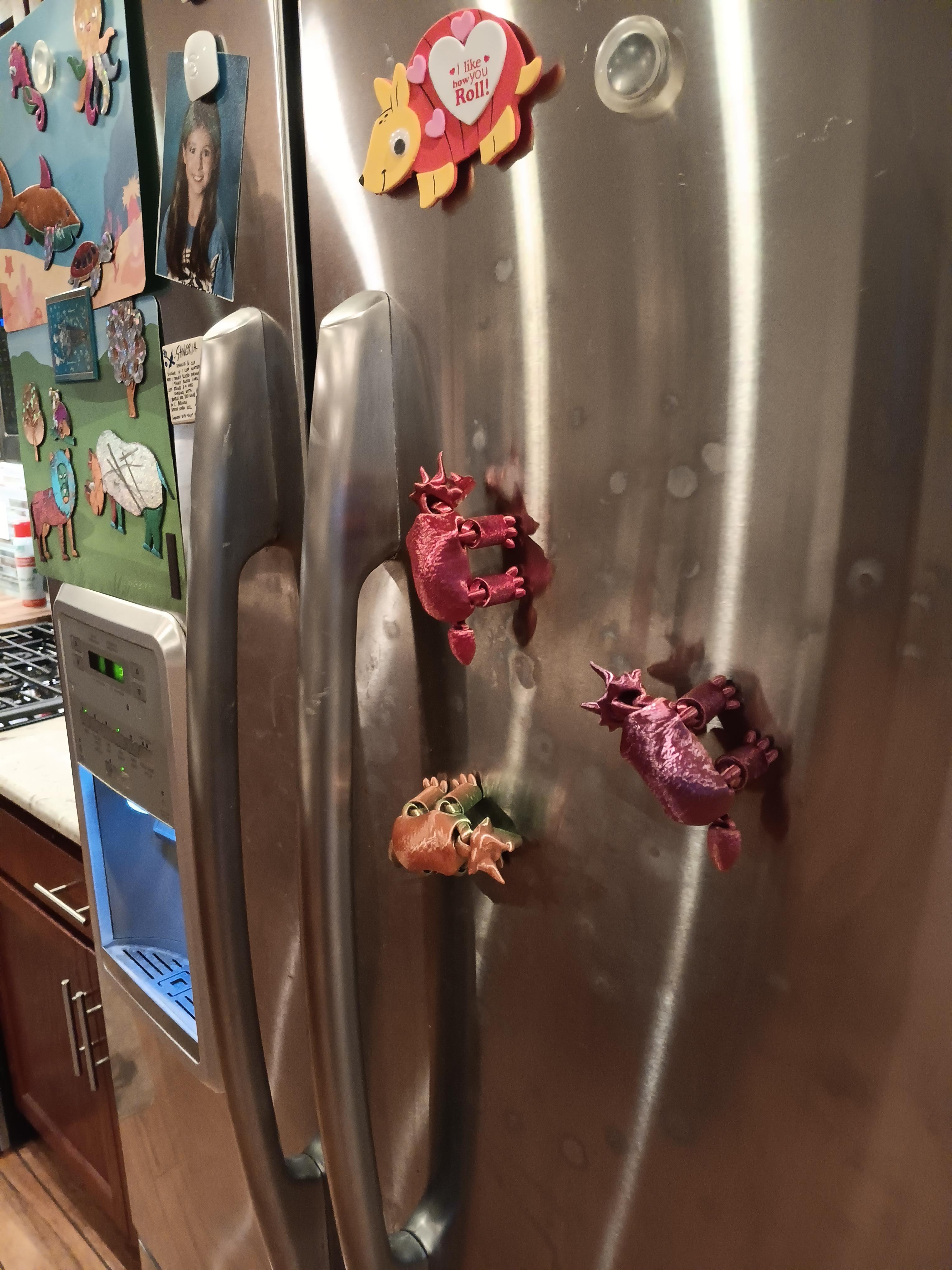 Flexi Triceratops magnet - print in place - refrigerator magnet - articulated fidget toy 3d model