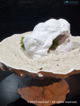 Aquarium & Terrarium Rock form Cave Decor | Natural Fish Tank Shelter | Reptile and Amphibian Hide 3d model